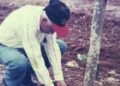 Legado y velatorio de Manuel Antonio Lora Gerardo, pionero de la investigación agrícola en República Dominicana