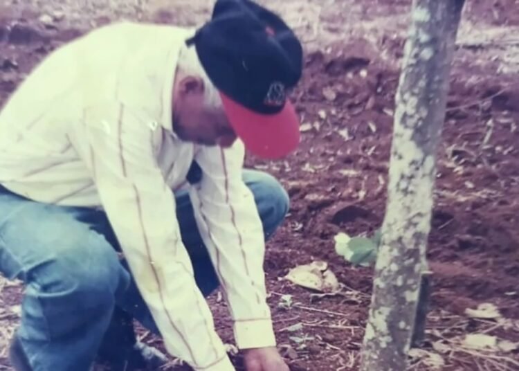 Legado y velatorio de Manuel Antonio Lora Gerardo, pionero de la investigación agrícola en República Dominicana