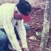 Legado y velatorio de Manuel Antonio Lora Gerardo, pionero de la investigación agrícola en República Dominicana
