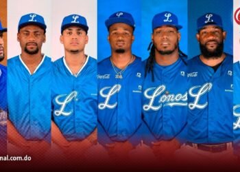 Siete brazos de seda y diez de papel en el béisbol invernal dominicano