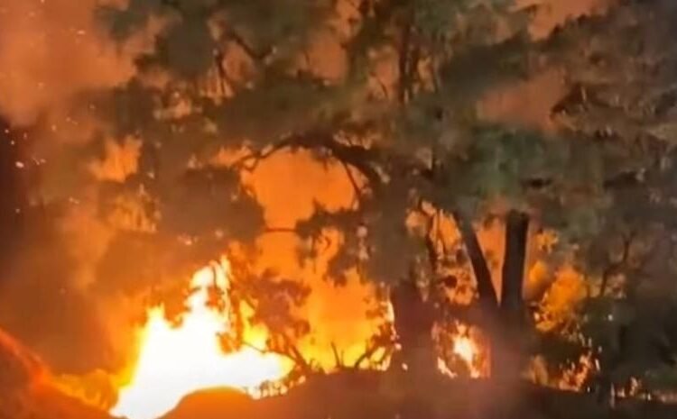 Incendio destruye nuevo local del emblemático restaurante Las Dunas en Baní