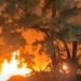Incendio destruye nuevo local del emblemático restaurante Las Dunas en Baní