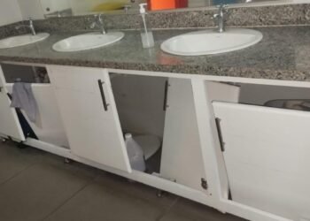 Denuncian abandono y plagas de ratones en la Biblioteca Infantil y Juvenil