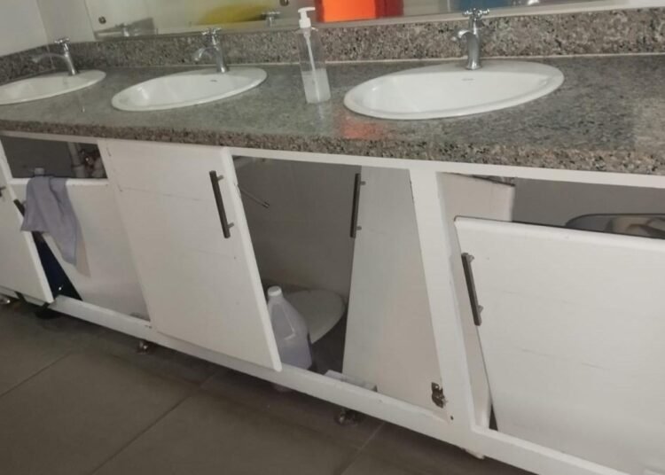 Denuncian abandono y plagas de ratones en la Biblioteca Infantil y Juvenil