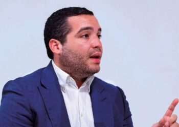Diputado Mariotti desmiente que apagones sean por calor y culpa a las EDE