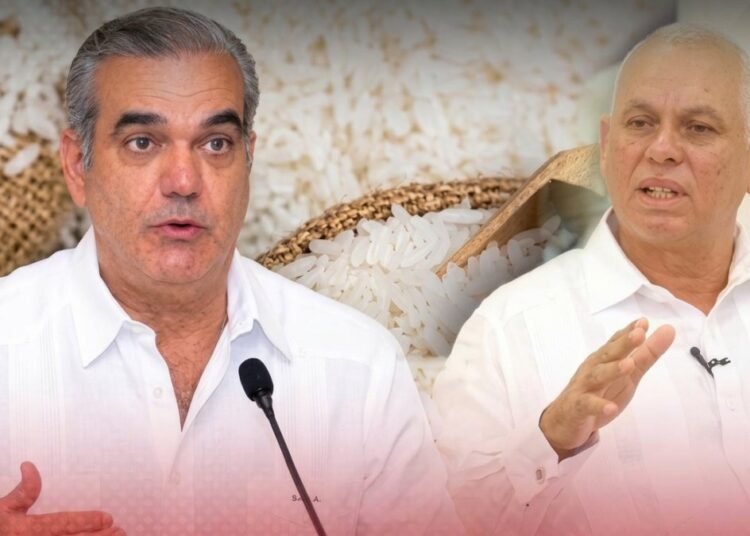 Fenarroz desafía al Gobierno y asegura que desconoce estrategias para proteger el arroz