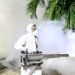 Salud Pública confirma nuevos casos de dengue y eleva la cifra total a nivel nacional