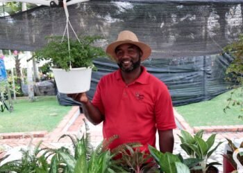 El negocio verde que gana terreno en República Dominicana y cómo emprender