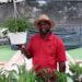 El negocio verde que gana terreno en República Dominicana y cómo emprender