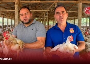 Productores avícolas al borde de la quiebra por sobreproducción e importaciones masivas