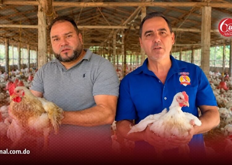 Productores avícolas al borde de la quiebra por sobreproducción e importaciones masivas