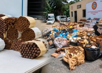 Decomisan más de 76,000 puros y botellas ilegales valorados en millones en Higüey