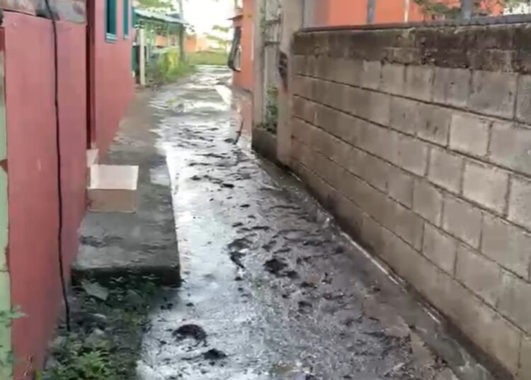 Familias de La Ermita en Gaspar Hernández piden auxilio urgente por la entrada del mar a sus casas