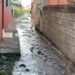 Familias de La Ermita en Gaspar Hernández piden auxilio urgente por la entrada del mar a sus casas