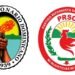 PRD y PRSC: el crucial desafío electoral de 2028 para su supervivencia