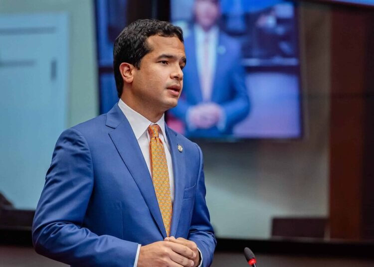 Omar Fernández advierte sobre debilidades en la fiscalización del Congreso Nacional
